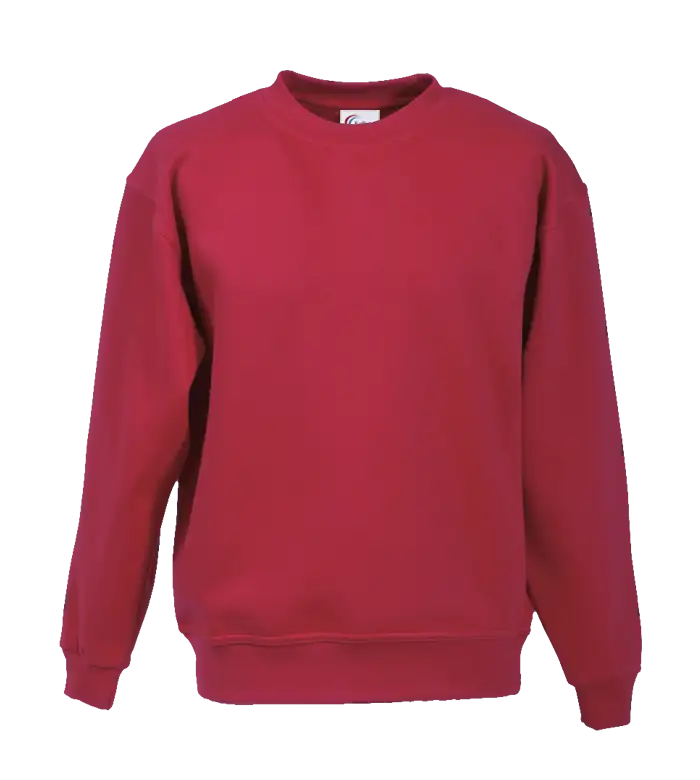 Fapak Solid Color Sweatshirt For Men-2305