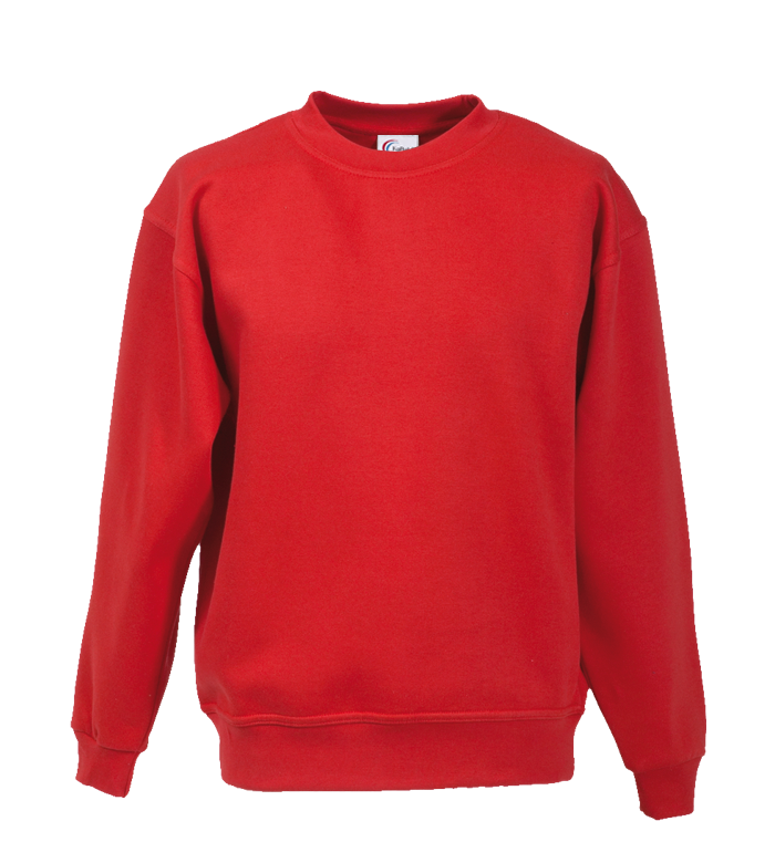 Fapak Solid Color Sweatshirt For Men-2305
