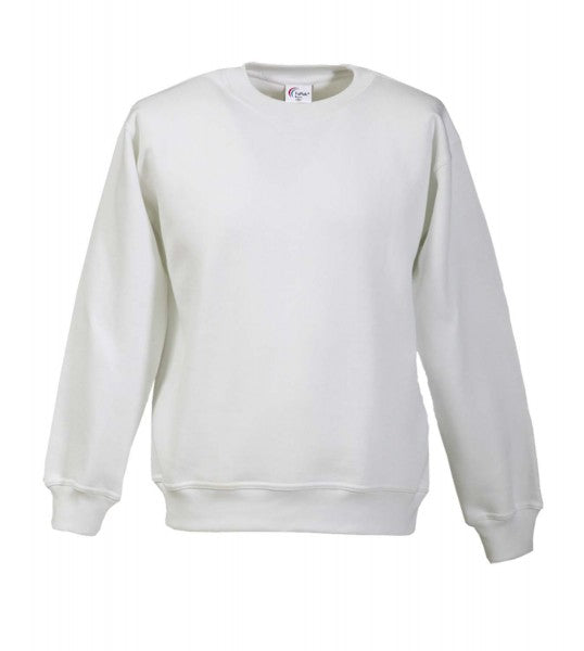 Fapak Solid Color Sweatshirt For Men-2305